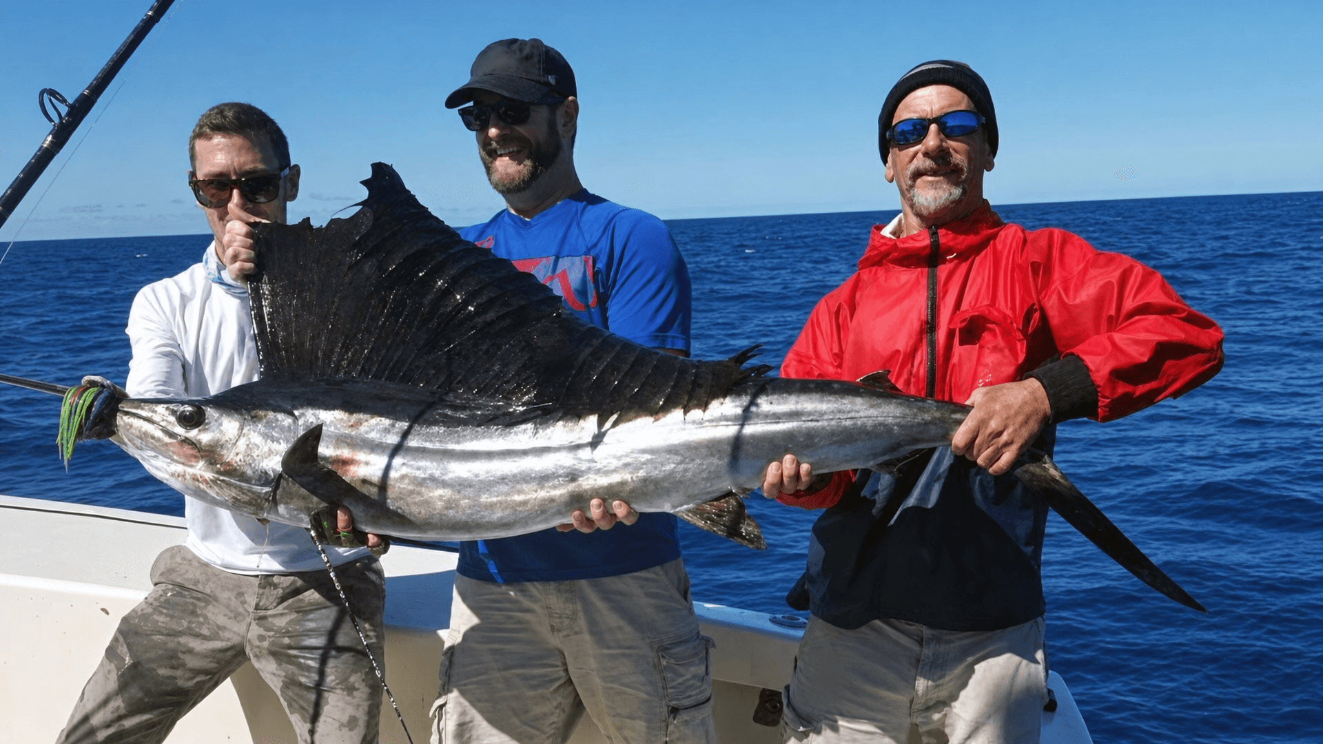 3/4 Day Trip – Private