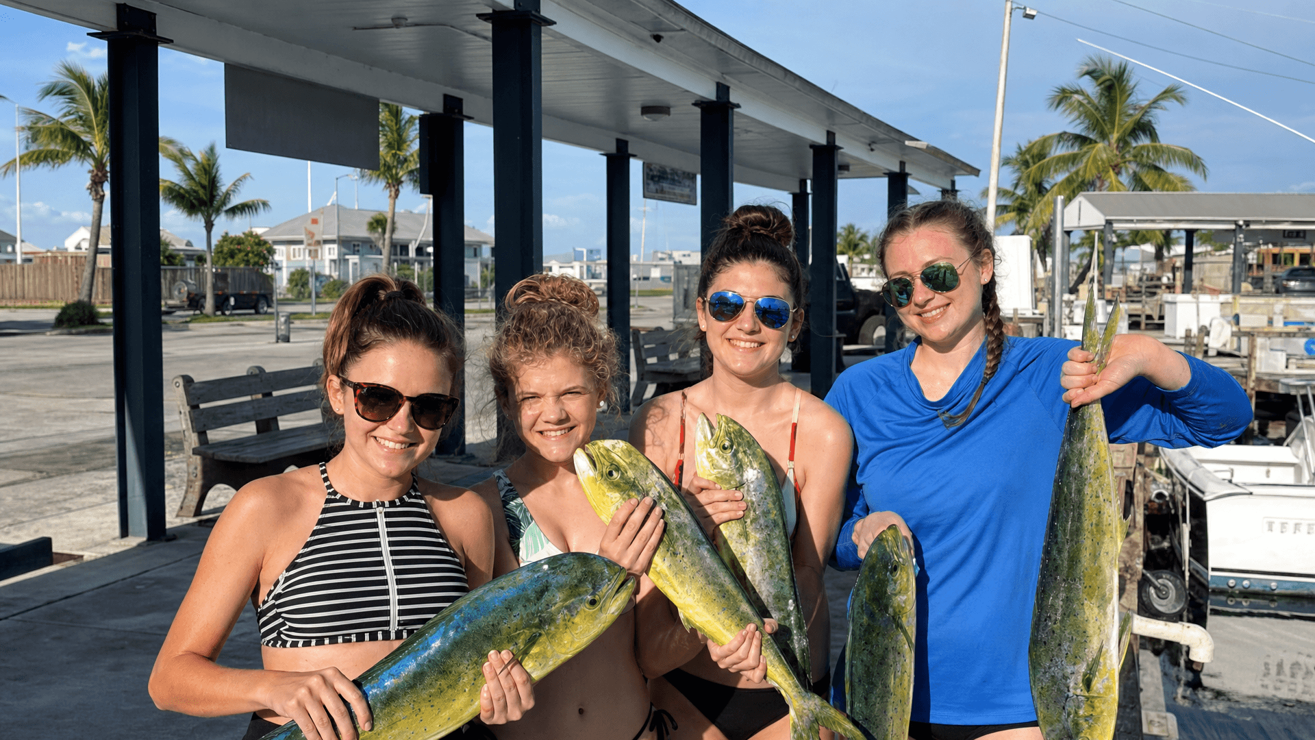 3/4 Day Trip – Shared