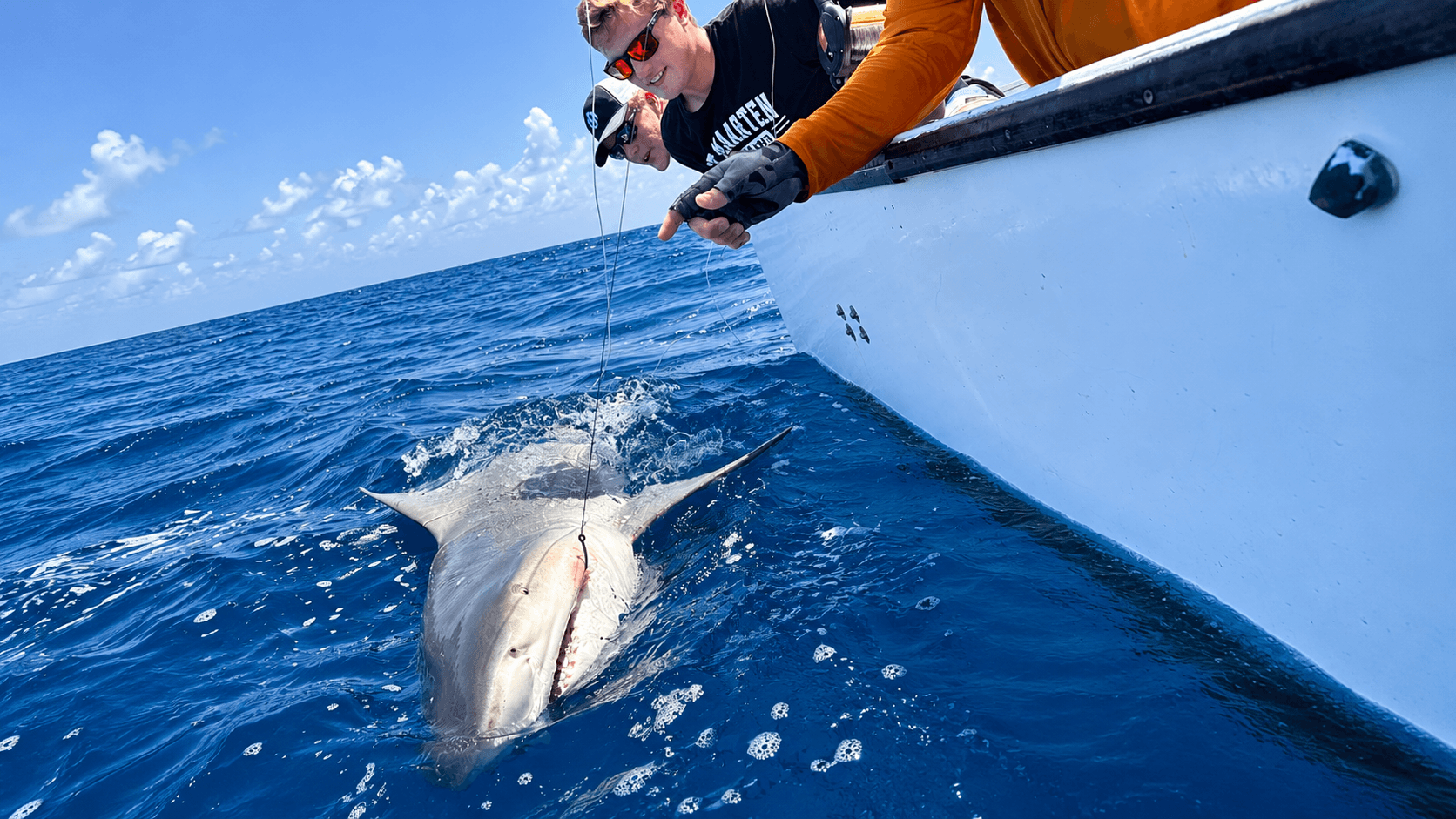Shark Fishing