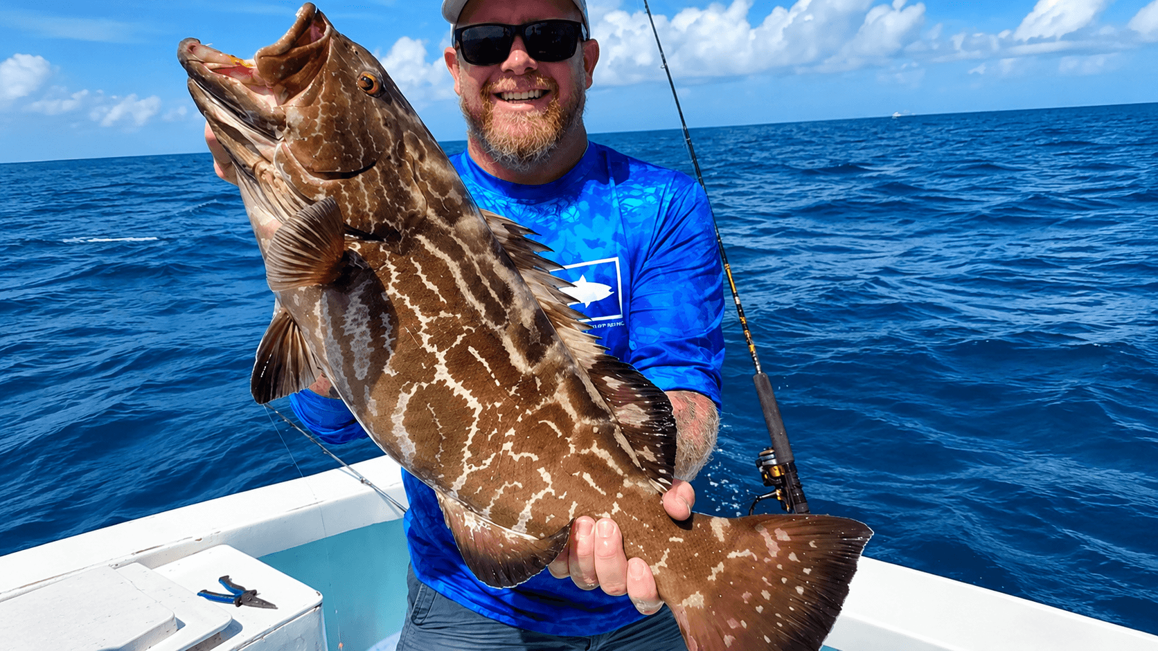4 Hour Reef & Nearshore Fishing