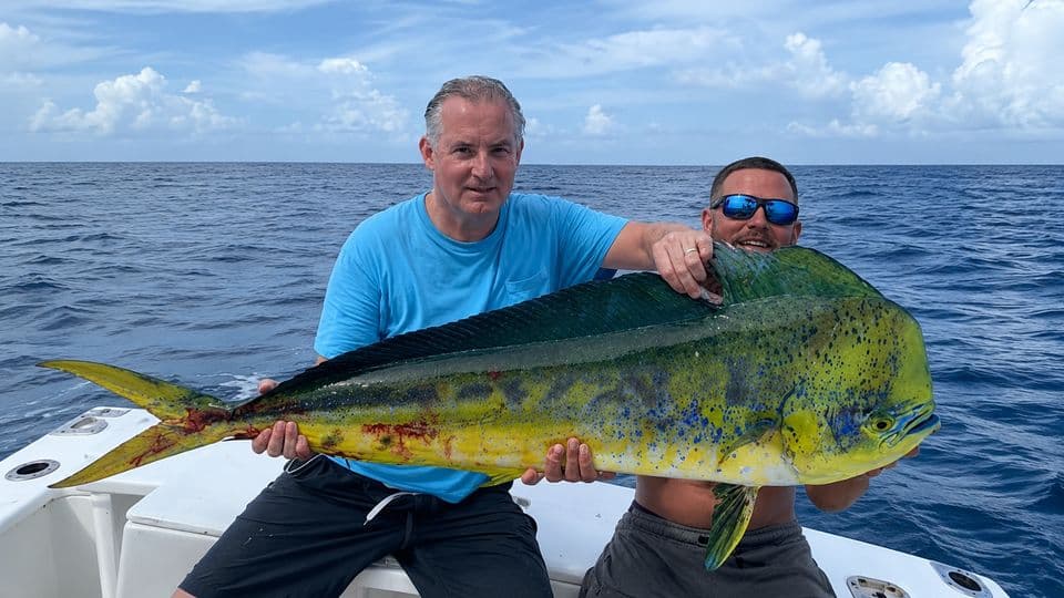 6 Hr Reef & Offshore Fishing photo 10