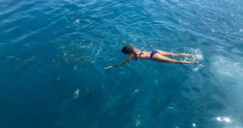 6 Hour Sandbar & Snorkeling